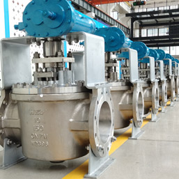 super-austenitic-plug-valves